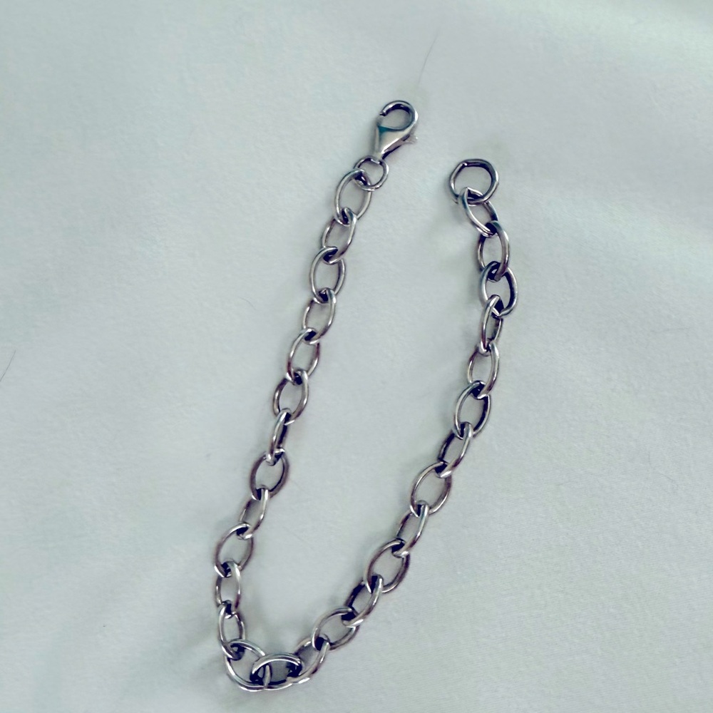 Blue Nile Charm Braclet - Picture 3 of 5